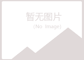 阜阳山柳化学有限公司